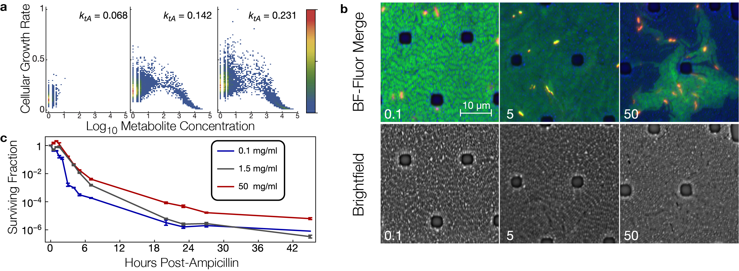 <Metabolic Simulations & Experiments>